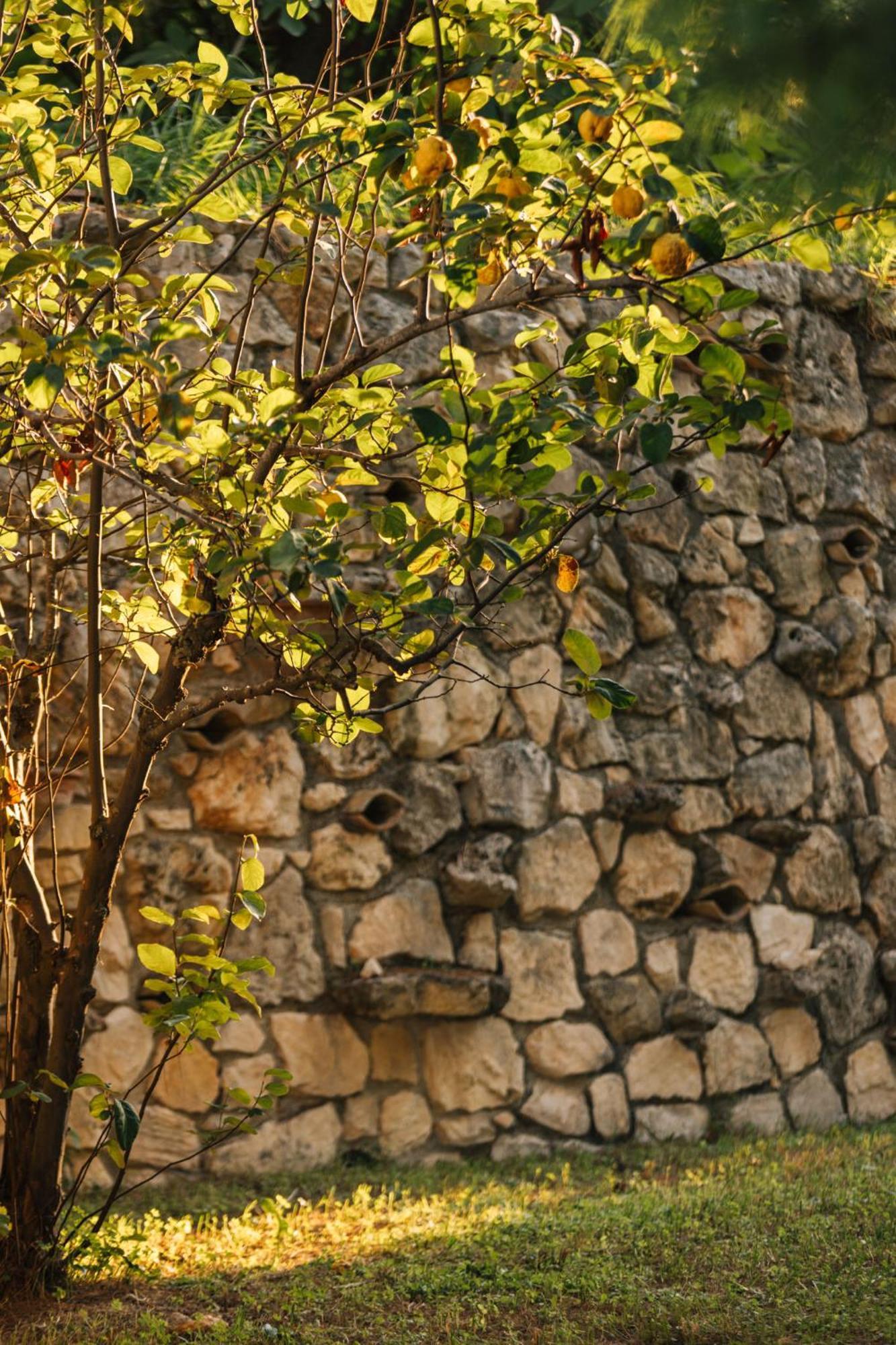 Ilyessa Cottages Meson Yerakarion Exterior photo